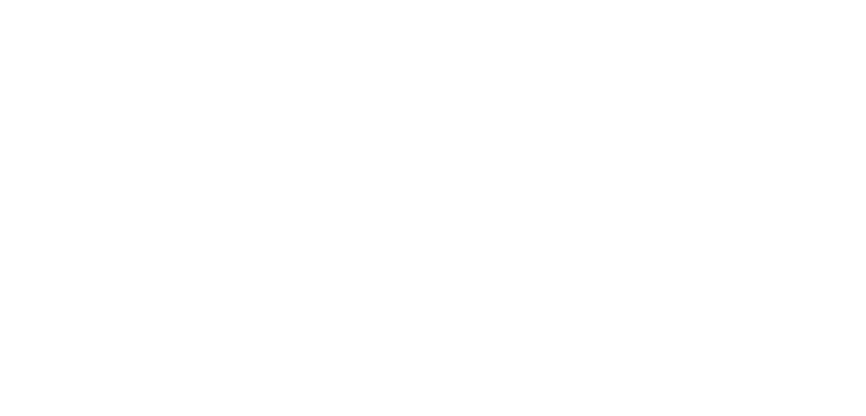 BravoSports